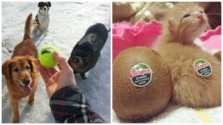 Kdo je tady navíc? Tahle GALERIE není zcela v&nbsp;pořádku. Objevíte všechny omyly?