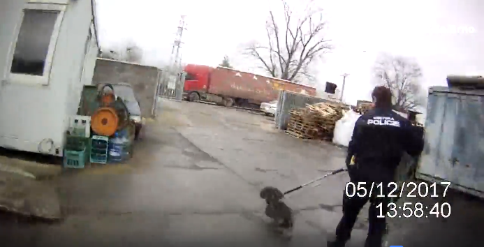 Zaklíněného jezevčíka vysvobodili policisté. Upozornil na&nbsp;sebe úpěnlivým kňučením. VIDEO