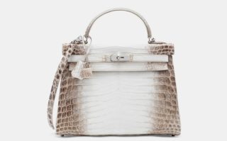 Tohle je nejdražší kabelka světa. Za její cenu byste už nemuseli do konce života hnout prstem