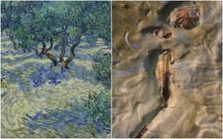 Restaurátorka našla na&nbsp;Van Goghově obraze mrtvou kobylku