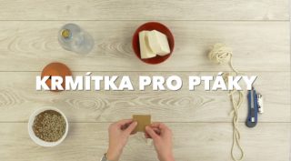 TIPY a&nbsp;TRIKY: Vyrobte si doma jednoduchá krmítka pro&nbsp;ptáky