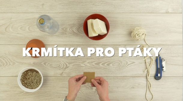 TIPY a&nbsp;TRIKY: Vyrobte si doma jednoduchá krmítka pro&nbsp;ptáky