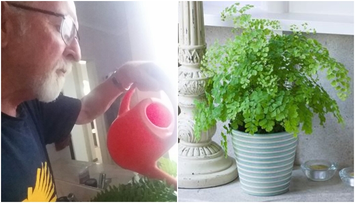 To nečekal! Žena si před smrtí dokonale vystřelila ze svého manžela