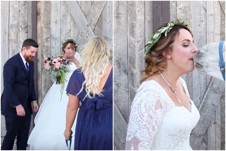 VIDEO: Nevěsta se bála, že na&nbsp;ni hosté zapomněli. Neuvěříte, kdo se na&nbsp;svatbě ukázal!