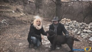 2.&nbsp;díl pořadu MAZLÍČCI Frekvence 1: Jak se starat o&nbsp;psa v&nbsp;zimním období?