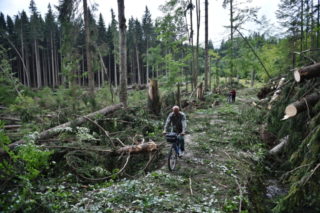Úřady vydaly zákaz vstupu do šumavských lesů. Bouřka a&nbsp;vítr vyvrátily desítky tisíc stromů