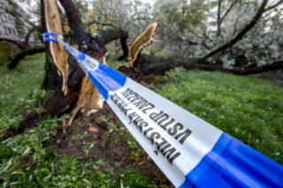Kvůli větru v&nbsp;ČR zemřeli dva lidé, bez proudu bylo 300 tisíc odběratelů