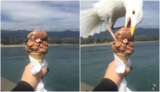 Může být hůř! FOTKY lidí, kteří mají o&nbsp;dost horší den než vy