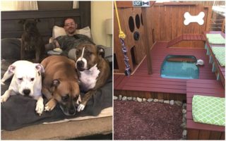 Nejluxusnější psí koutek? Tuhle hernu jim můžou ostatní chlupáči závidět