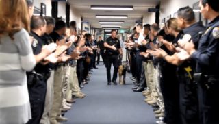 Díky, parťáku! Policisté se rozloučili se psím kolegou ve velkém stylu. VIDEO