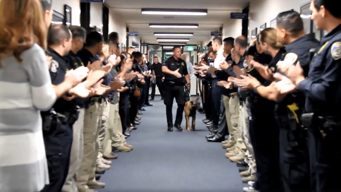 Díky, parťáku! Policisté se rozloučili se psím kolegou ve velkém stylu. VIDEO