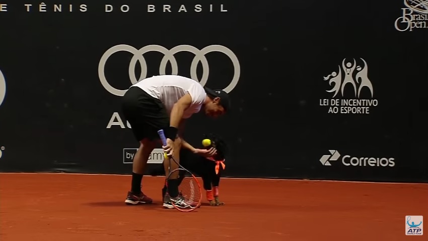 Přines! Tenistům na&nbsp;turnaji ATP v&nbsp;Sao Paulu budou nosit míčky psi. VIDEO