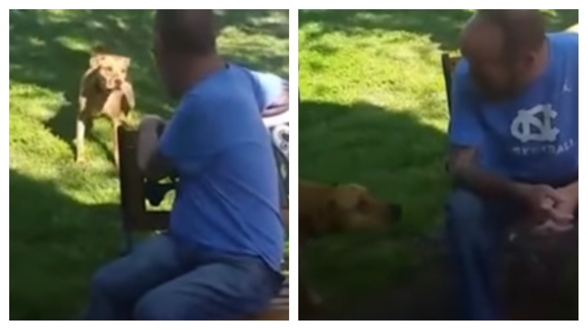 VIDEO: Když se muž vrátil z nemocnice, nemohl ho pes poznat. Pak se ale stalo něco úžasného!