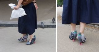 Bláznivé holubí boty baví internet. Do města jsou praktické, pochvaluje si majitelka