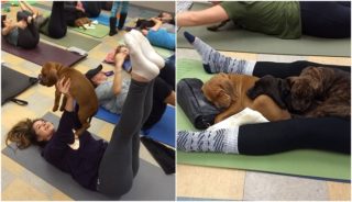 Nejroztomilejší cvičení na&nbsp;světě? Tady nabízí lekce pilates se štěňaty!