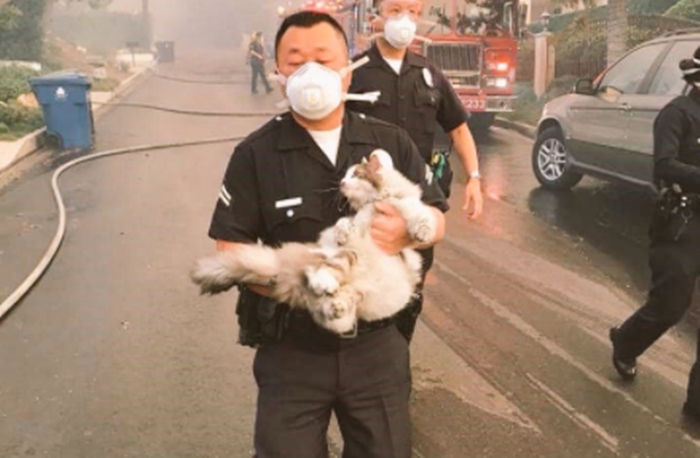 Policisté zachránili kočku z rozsáhlého požáru, zveřejnili dojemnou fotku
