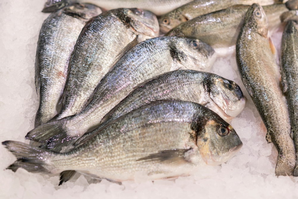 A tohle máme na&nbsp;talíři? Tři čtvrtiny mořských ryb v&nbsp;sobě mají plasty, varují odborníci