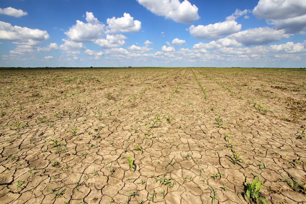 Stát pouze mluví, se suchem reálně nepomáhá, uvádí asociace
