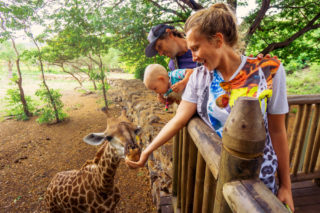 Léto s&nbsp;Frekvencí 1: Dočkáme se letního deště, kde rostou houby a&nbsp;kam do ZOO? Máme pro&nbsp;vás aktuální informace