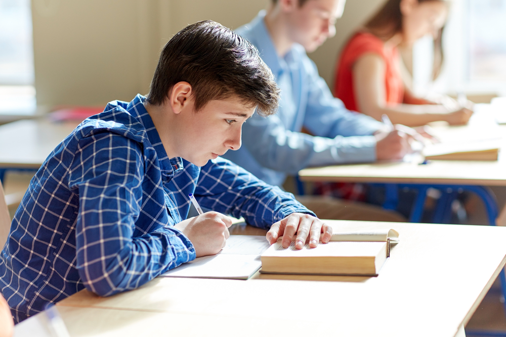 Rodiče i studenti zuří kvůli tématům maturitním slohovek. Vybrali byste si? ANKETA