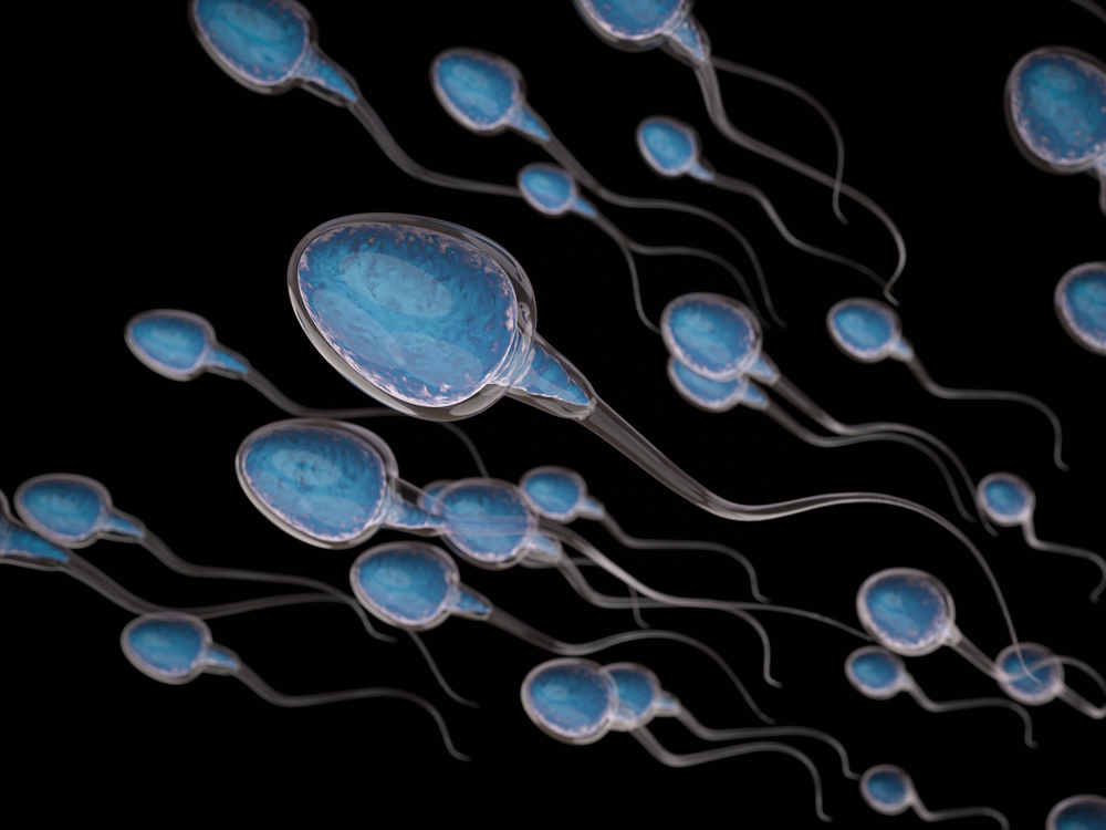 Početí je stále těžší. Mužům nebezpečně ubývají spermie, varují odborníci