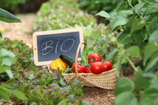Biopotraviny kupuje desetina Čechů. Jak jste na&nbsp;tom vy? ANKETA