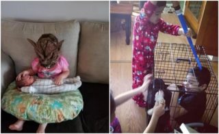 GALERIE: A&nbsp;ten tu s&nbsp;námi jako bude napořád? To nejlepší ze sourozeneckých válek