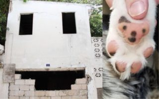 GALERIE: Vidíte to taky? Představivost dělá z&nbsp;obyčejných předmětů oživlé smajlíky