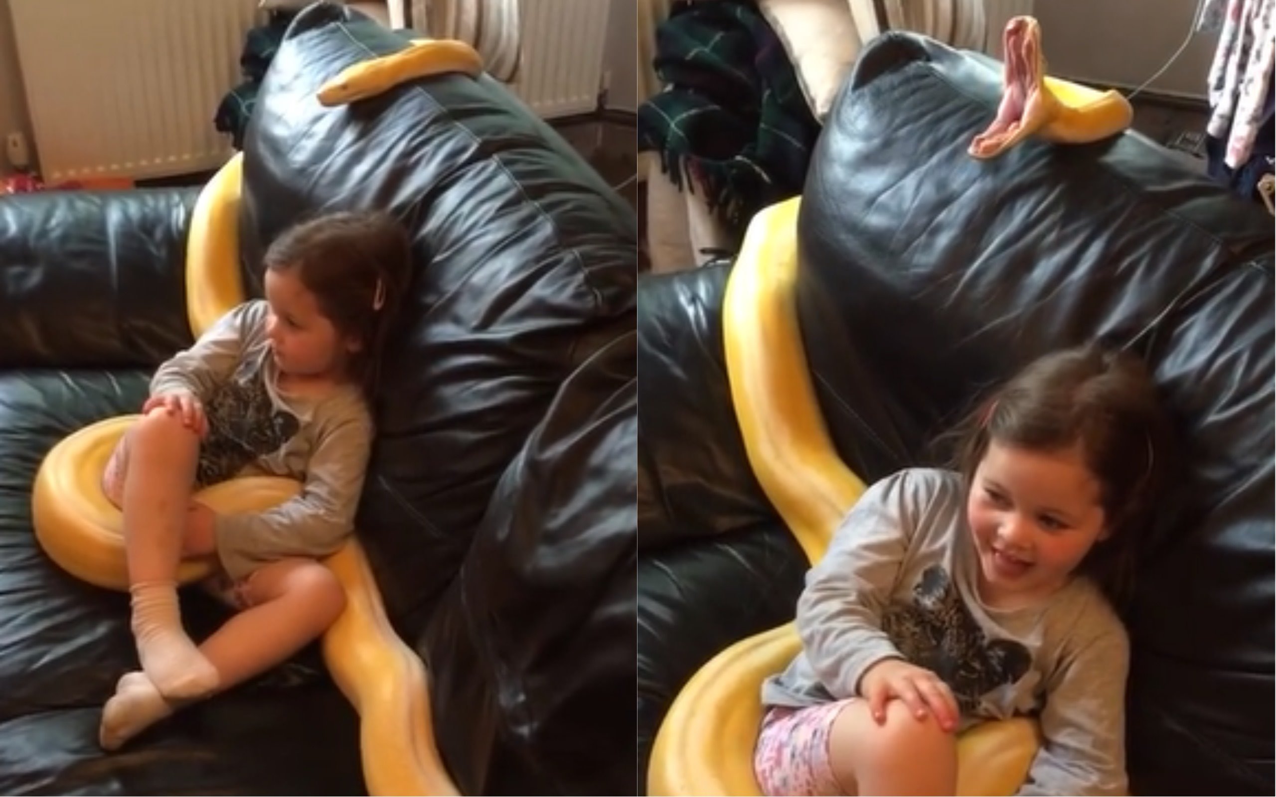 VIDEO: Neobvyklý domácí mazlíček pobouřil rodiče na&nbsp;Facebooku! Byla dívka v&nbsp;nebezpečí?