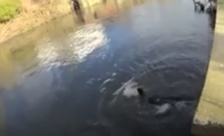 Policista neplavec zachránil tonoucího muže. Dramatickou událost zachytila kamera