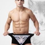 Sexy Wolf Men's Underwear