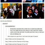 Proč se lépe baví fanoušci Harryho Pottera než zastánci mudlů