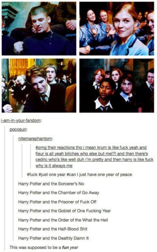 Proč se lépe baví fanoušci Harryho Pottera než zastánci mudlů