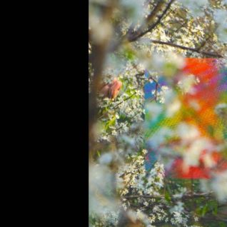 Four Tet - Teenage Birdsong